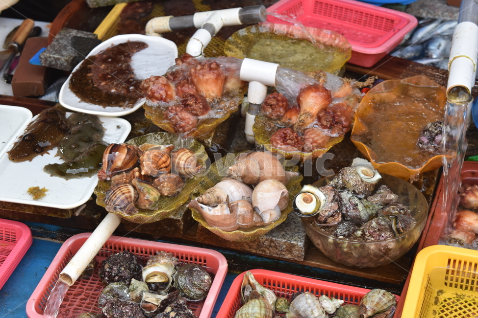 해산물,해물,대게,영덕,수상,수상시장,시장,멍게,시장,마트,마켓,market,mart,market place,음식,식재료,요리,food,cook,meal,dishes,food reserves,수산물,해산물,fishery products,seafood