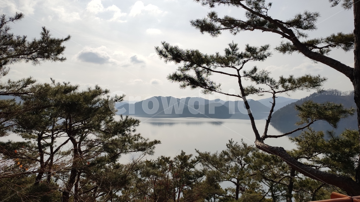 대청호,대청댐,호수,담수호,경치,풍경,수변공원,청남대,outdoors,옥외,nature,자연,plant,식물,tree,나무