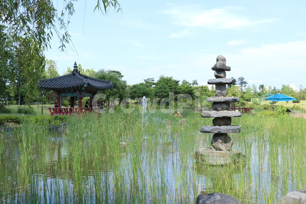 전통,한옥,돌탑,연꽃,꽃,정자,연못,호수,풍경,배경,대전,유림공원,공원,자연,물,h2o