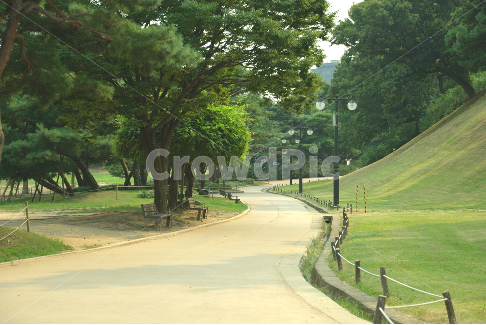 공원,산책,일상,나무,길,자연,풍경,nature,landscape,outdoors,옥외,bench,벤치