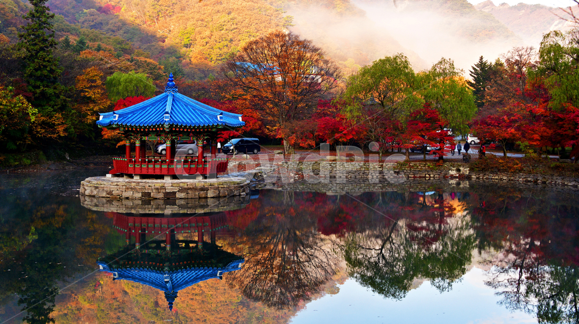 전북,정읍,내장사,가을,추색,단풍,내장사우화정,연못,자연,경치,경관,풍경,가을,계절,fall,autumn,season