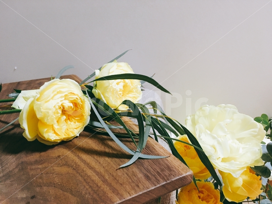 꽃,플라워,flower,도마,나무,질감,스튜디오,초록색,선물,노란색,옐로우,스프링,힐링,데이트,식물,자연,plants,nature,꽃,flower,기념일,축하,anniversary,congratulation,celebrate,celebration,감성,sensible,feeling,색깔,색상,색채,색감,color sense,color sensitivity,feeling of color
