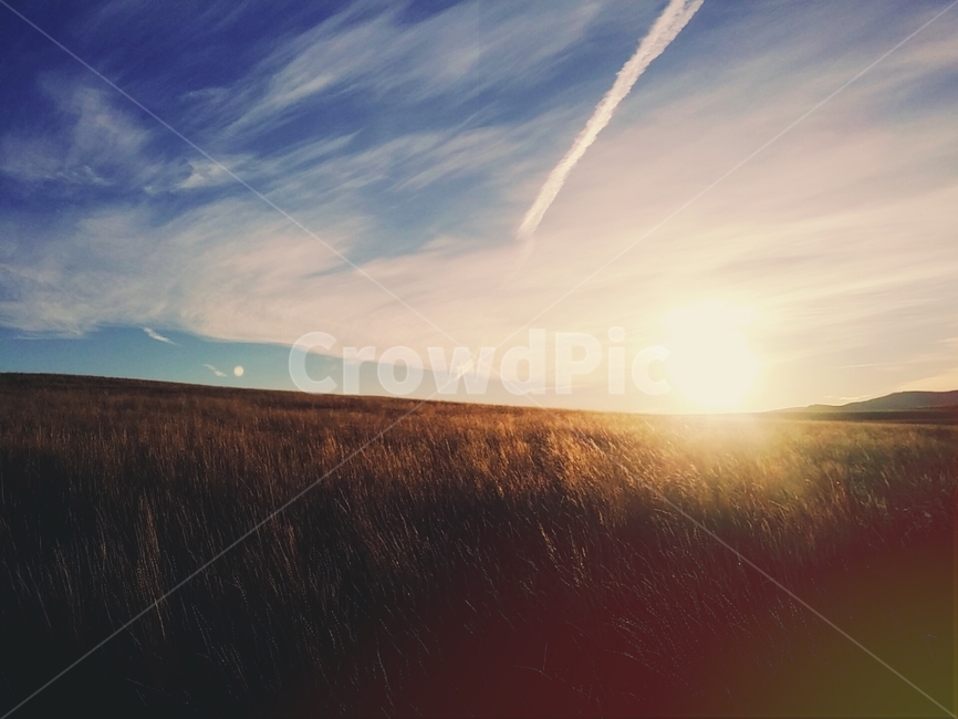 풍경,자연,nature,하늘,구름,햇빛,그늘,빛,반사,자연,풍경,nature,landscape,outdoors,옥외,flare,플레어,light,sunlight,sky
