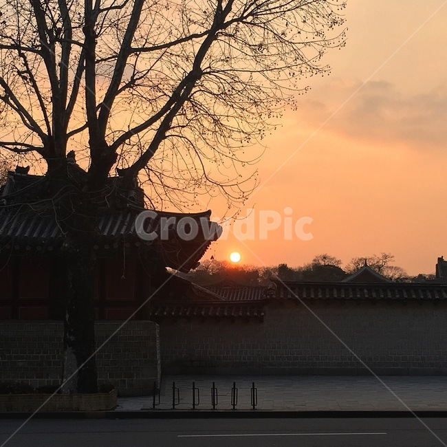 서울,창경궁,해질녘,노을,붉은노을