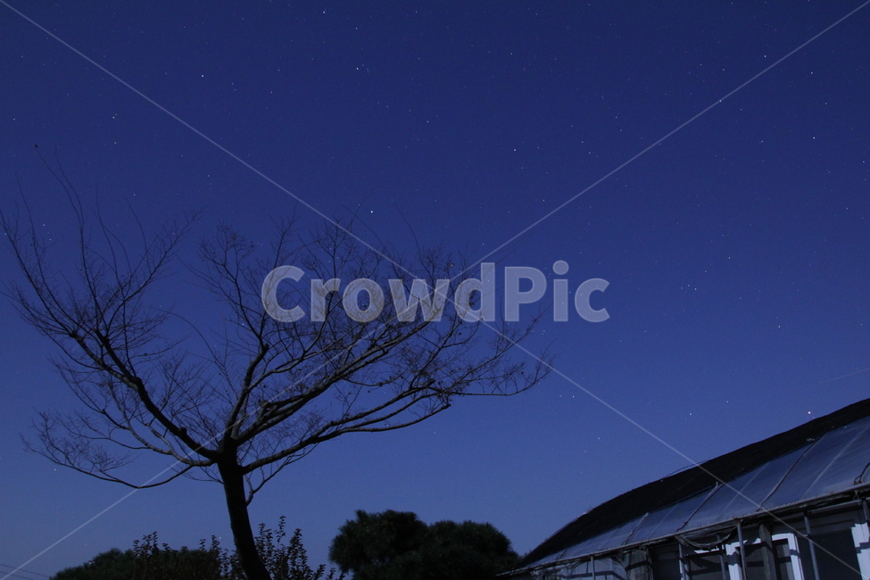 별,star,밤하늘,오리온자리,밤,달,moon,야경,밤,풍경,nightscape,night,landscape,nature,자연,outdoors,옥외