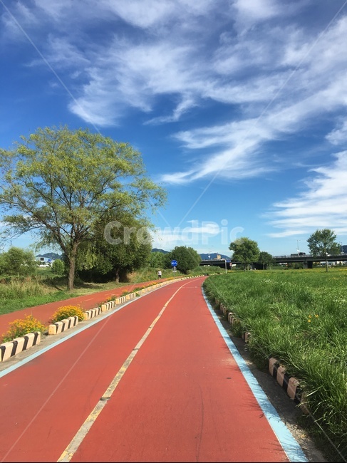 자전거도로,대전,하상도로,맑은하늘,자전거,교통,교통수단,traffic,transportation