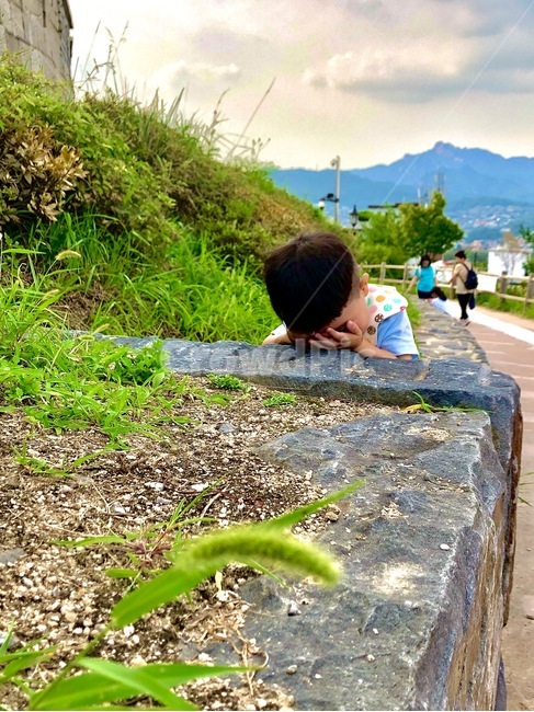person,사람,human,인간,조카,nephew,자연,nature,숨바꼭질
