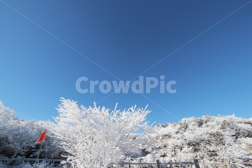 한라산,상고대,설산,겨울,겨울산행,눈꽃,진달래대피소,성판악,관음사,제주도,제주,백록담,겨울,계절,winter,season,자연,풍경,nature,landscape,outdoors,옥외