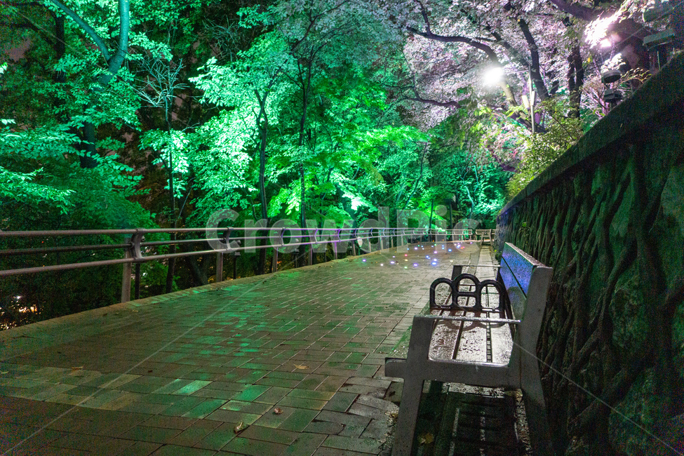 자유공원,산책,야경,벤치,공원,의자,bench,chair,prak,길,산길,숲,숲길,오솔길,수풀,나무,자연,led,조명,tree,통행로,path,nature