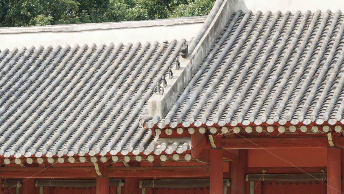 서까래,지붕,한옥,종묘,전통,roof