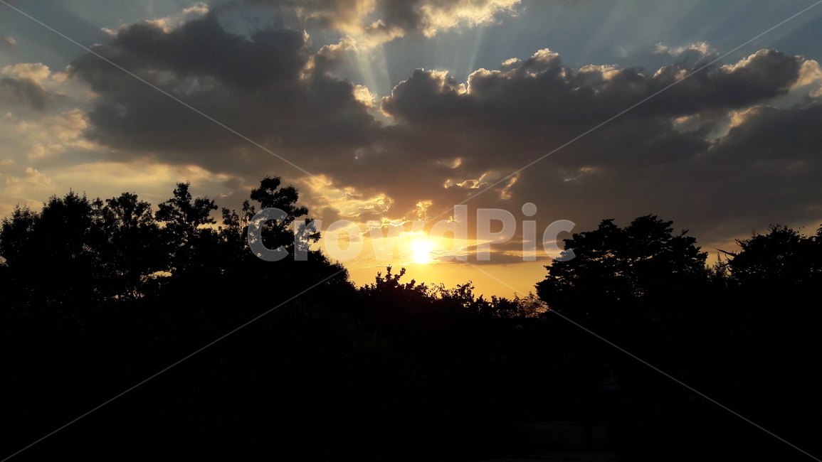 상암동,하늘공원,하늘,구름,노을,자연,풍경,nature,landscape,sunlight,햇빛,light,빛,flare,플레어,outdoors,옥외