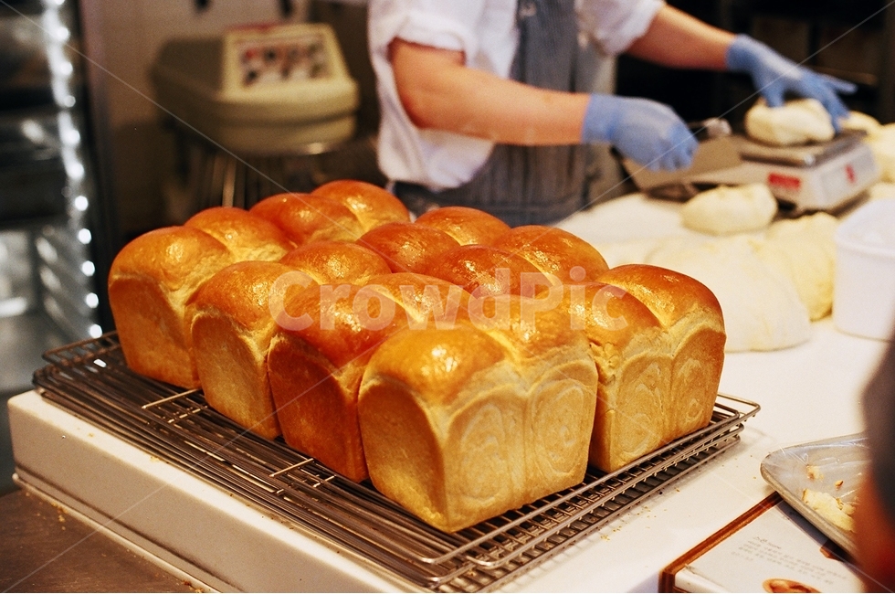 빵,식빵,음식,bread,먹음직스러움,사람,인물,인간,human,person,신체일부,몸,body,음식,식재료,요리,food,cook,meal,dishes,food reserves,빵,bread