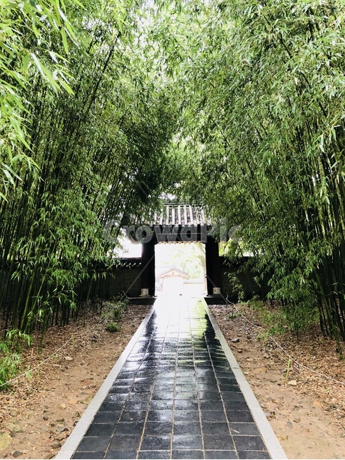 한옥마을,전주,옥외,정원,산책길