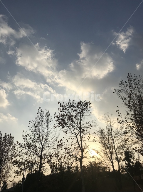 nature,하늘,구름,나무,나뭇가지,햇빛,태양
