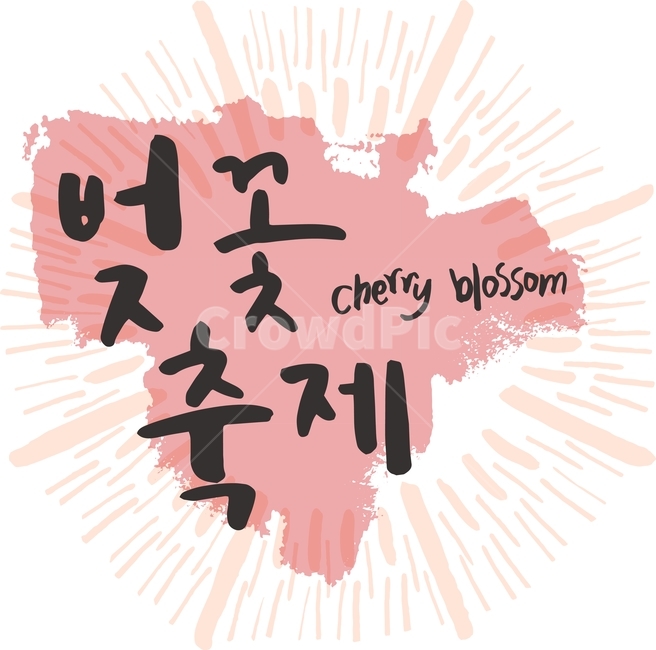 벚꽃놀이,벚꽃축제,일러스트,벡터,봄,캘리그라피,패턴,패키지,라인,텍스처,질감,다이어리,책표지,북커버,팝업,배너,계절,벚꽃,축제,꽃,캘리,번짐,잉크,캘리그라피,손글씨,calligraphy