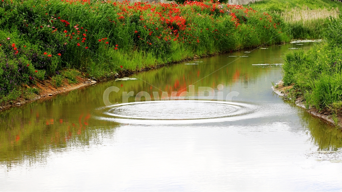 자연,풍경,물,양귀비,테두리,여백,자연,풍경,nature,landscape,식물,plants,꽃,flower,water,outdoors,옥외,land,땅
