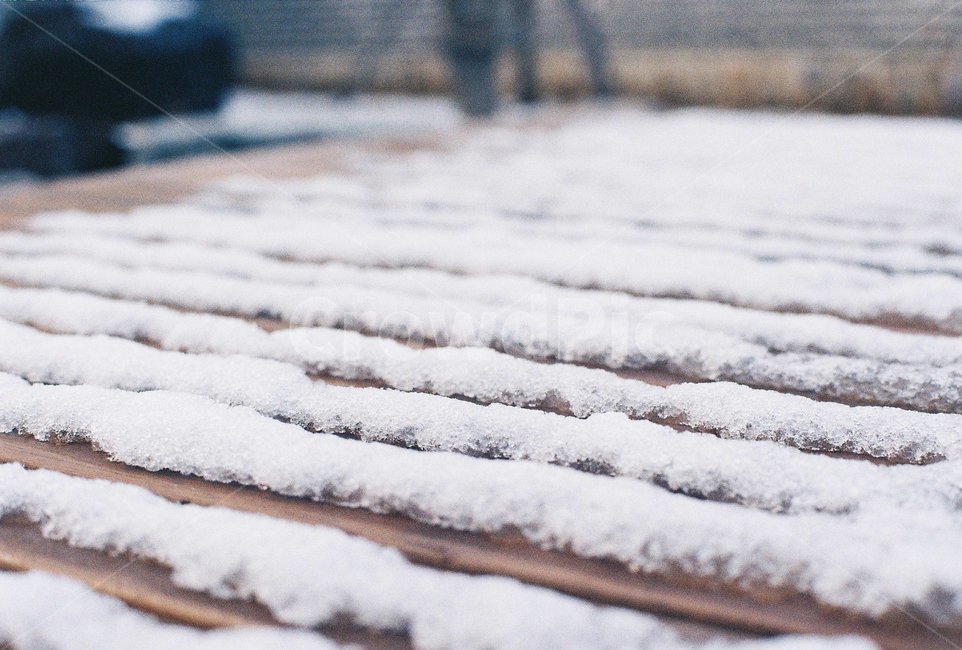 눈,첫눈,snow,bench,벤치,ice,겨울,계절,winter,season