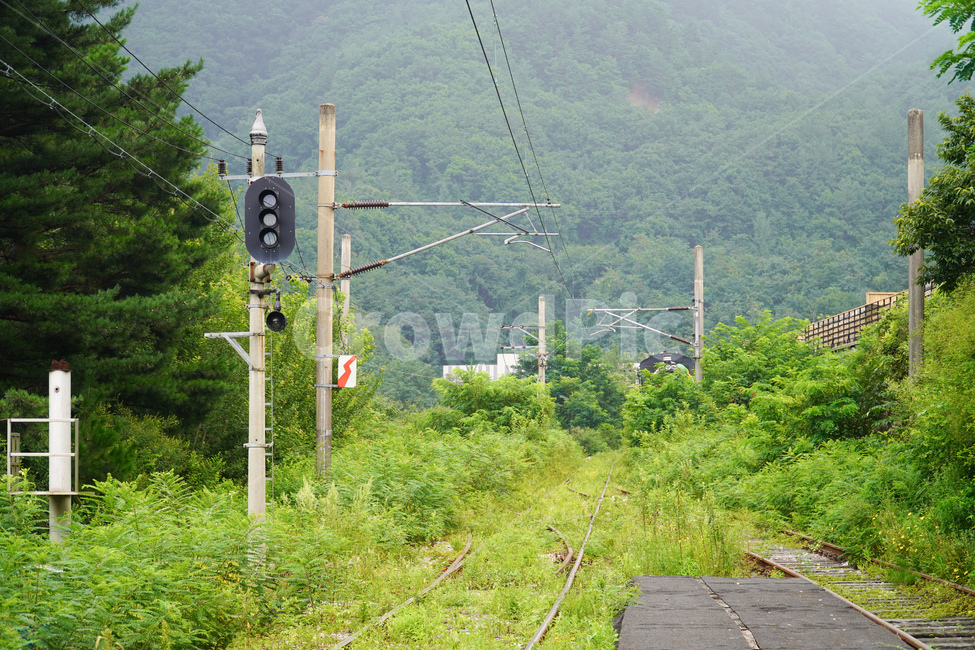산,기찻길,철길,나무,풀,초록색,자연,풍경,nature,landscape