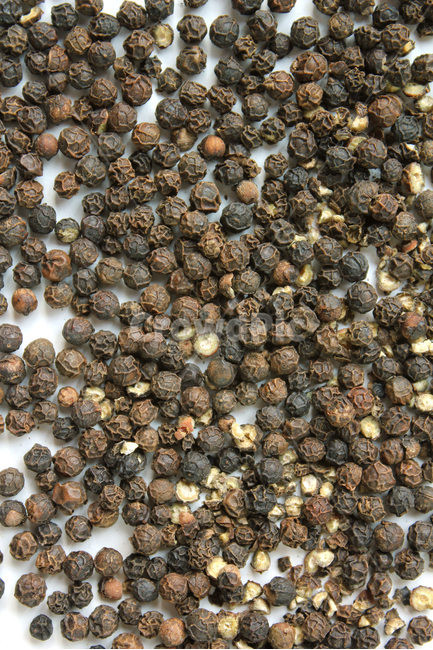 black,brown,cooking,dry,food,glass,gourmet,pepper,peppercorn,seeds,spice,spicy,white,검은색,검정,갈색,브라운,요리,음식재료,음식,후추,후추가루,향신료,매운,식재료,탑앵글,탑뷰,음식,식재료,요리,food,cook,meal,dishes,food reserves,콩류,견과류,beans,pulse,nuts,dry fruits