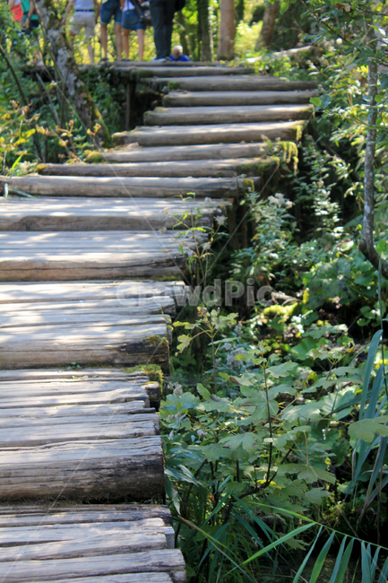 플리트비체,자연,나무계단,숲속,공원,트레킹,자연,풍경,nature,landscape,boardwalk,산책로,building,건물,bridge,다리