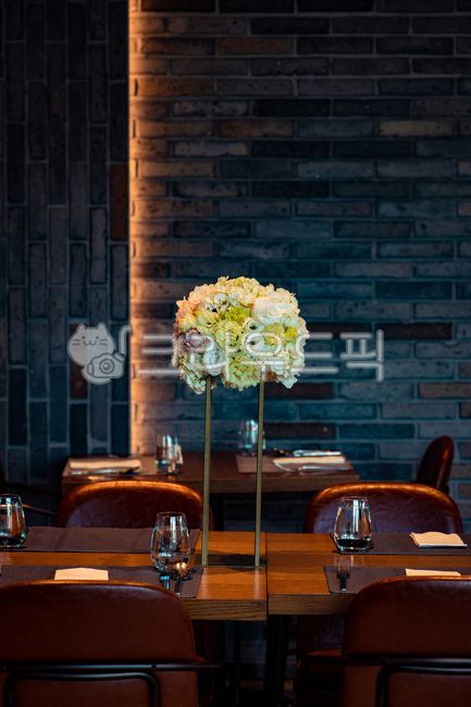 design, decoration, beauty, style, plant, 사진,이미지,일러스트,캘리그라피 - iamtaeoh작가