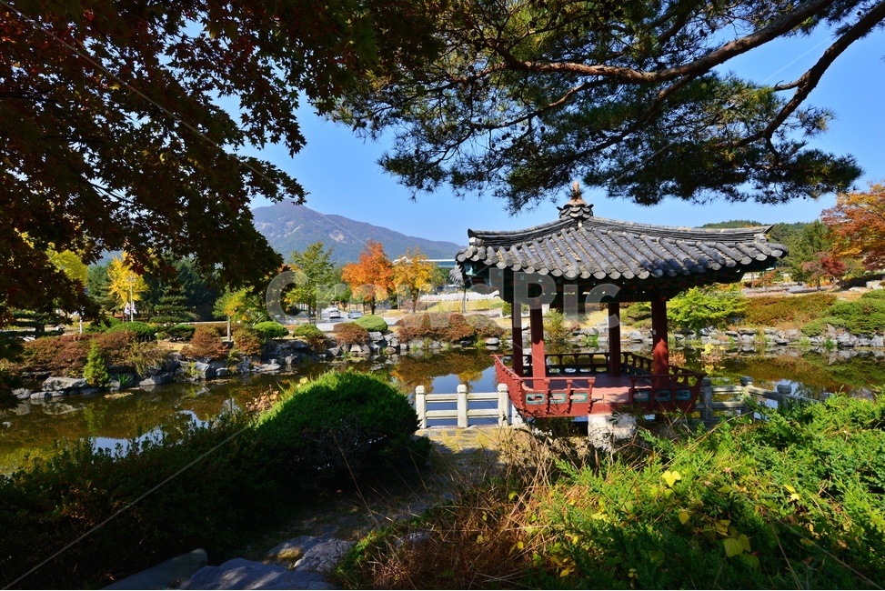 nature,자연,outdoors,옥외,architecture,건축물,water,물,plant,식물,tree,나무,현충원,국립현충원,국립,현충지,추색,가을,계절,만추,단풍,단풍잎,반영,정자,경치,경관,풍경