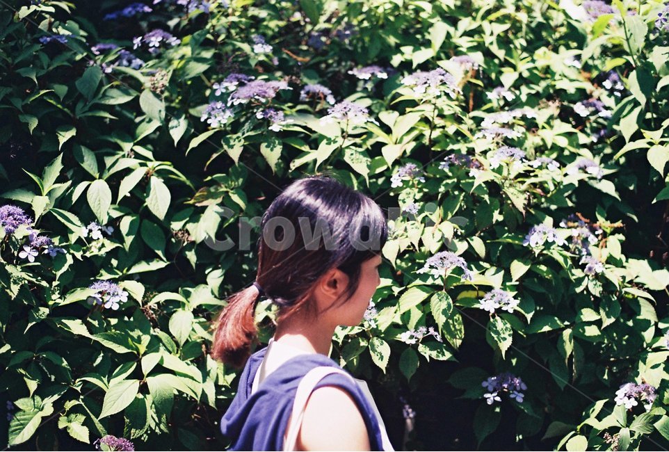여자,사람,단발머리,소녀,나무,묶은머리,잎,나뭇잎,잎사귀,이파리,초록색,초록,girl,tree,hair,봄,계절,spring,season,사람,인물,인간,human,person,여성,여자,woman,female,lady,감성,sensible,feeling,휴식,힐링,rest,relaxation,healing