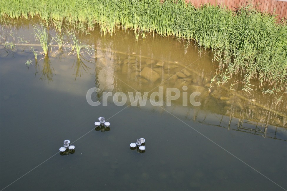 북서울,꿈의숲,공원,인공호수,분수대,자연,풍경,nature,landscape,land,땅,outdoors,옥외,water,물