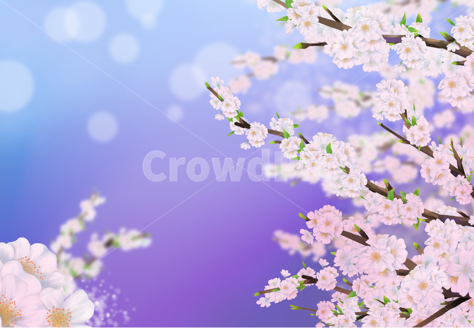 벚꽃,봄,나무,여름,하얀,꽃잎,잎,사쿠라,벚꽃일러스트,일러스트,꽃일러스트,체리,분기,시즌,4월,풍경,아름다운,아름다움,꽃이만발한,식물학,꽃봉오리,장식,디자인,꽃,신선한,정원,원예,일본,동양식물,낭만,환경,꽃정원,매크로,자연,식물,계절,꽃놀이,벚꽃구경,벚꽃축제,만발,만발한,흐드러진,컨셉,벚꽃세상,벚꽃놀이,꽃풍경,자연경치,설렘,예쁜,배경,따스한배경,컬러,cherryblossom,spring,cherry,blossom,nature,flower,tree,background,beautiful,white,season,bloom,plant,beauty,natural,petal,fresh,flora,botany,april,blossoming,springtime,flowers,landscape,cherryillustration,illustration,flowerillustration,color,gardening,orientalplants,romantic,plants,macro,seasons,cherryblossomviewing,cherryblossomworld,flowerscenery,naturalscenery,flutter,pretty,warmbackground,japaneseflower,보라,보라색,푸른색,그러데이션,핑크,분홍색,화사한,보랏빛,불빛,네온,blue,gradation,pink,bright,purple,light,neon