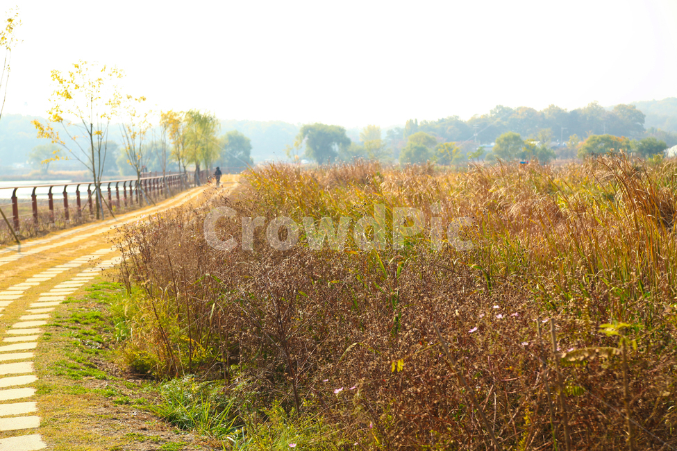 가을풍경,길,가을길,나들이,풍경