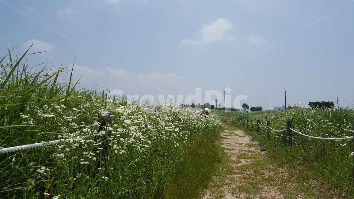 길,하늘,산책,자연,흙길,자연,풍경,nature,landscape,식물,plants,꽃,flower