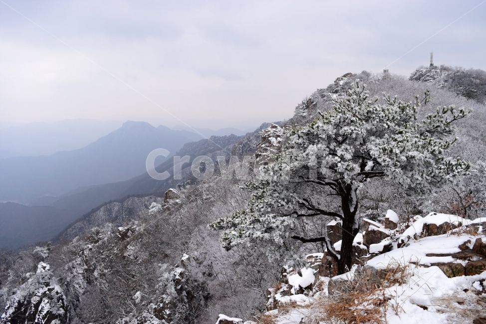 설경,풍경,대둔산,눈꽃,삼선계단,자연,nature,landscape,겨울,계절,winter,season,탐방,도립공원,힐링,감성,정취,산세,명산,100대명산,산,등산,트레킹,풍경사진,비경,경치,겨울사진,겨울색채,경관,기암,암봉우리,mountain,금산,완주,논산,마천대,케이블카,구름다리,fall,autumn,한국자연풍경,한국자연경관,korea,겨울,계절,winter,season,자연,풍경,nature,landscape,tree,나무,plant,식물