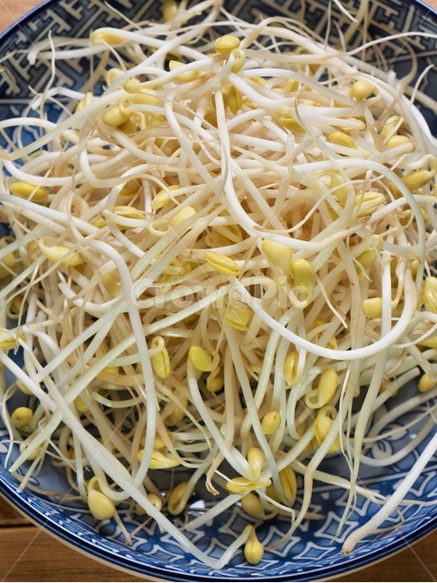 콩나물,나물,음식,음식재료,채소,웰빙,배경,콩,신선한,beansprouts,herbs,food,foodingredients,vegetable,wellbeing,background,bean,fresh,음식,식재료,요리,food,cook,meal,dishes,food reserves