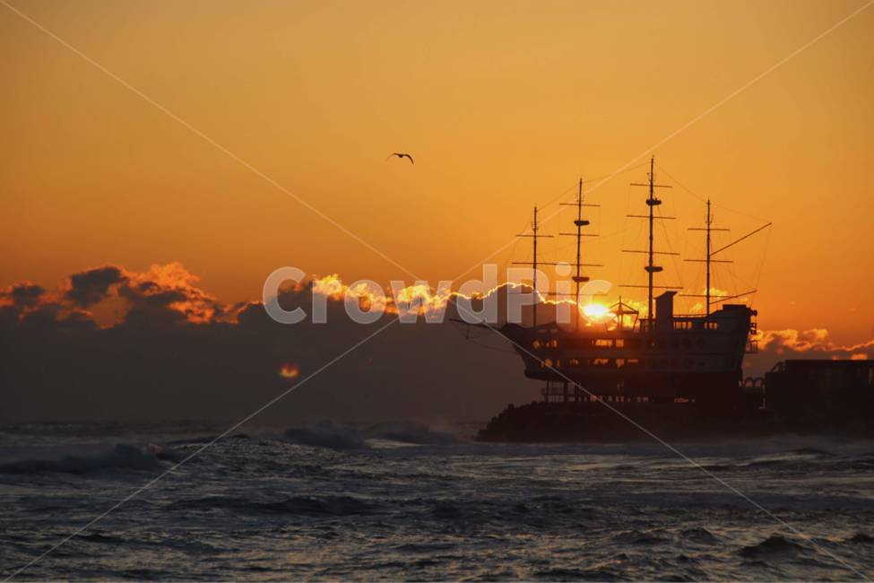 boat,보트,transportation,차량,bird,새,animal,선셋,선라이즈,일몰,일출,sunset,sun,하늘,sky,sunrise