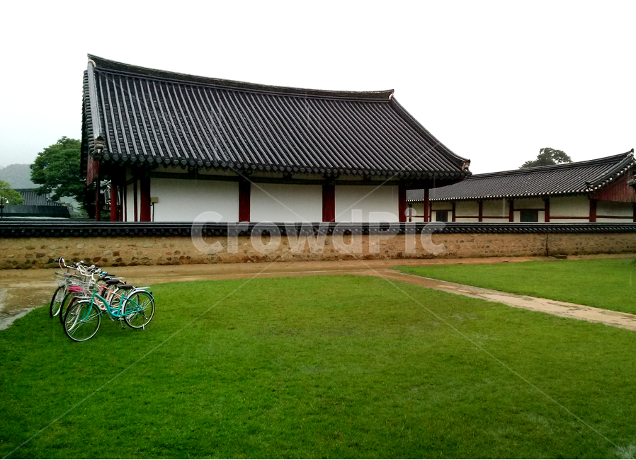 경주,자전거,들판,풀,풀밭,한옥,한옥마을,기와집,한옥집,전통,전통가옥,한국전통가옥,bike,bicycle,싱그러움