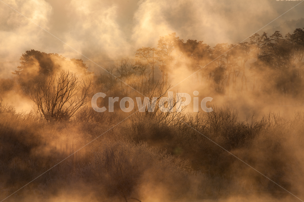 일출,해돋이,구름,안개,물안개,겨울,아침,새벽,노을,반영,햇빛,하천,소양강,방류,상고대,몽환적,몽환,겨울풍경,겨울꽃,자연,풍경,자연,풍경,nature,landscape,한국자연풍경,한국자연경관,korea nature landscape,weather,날씨,outdoors,옥외