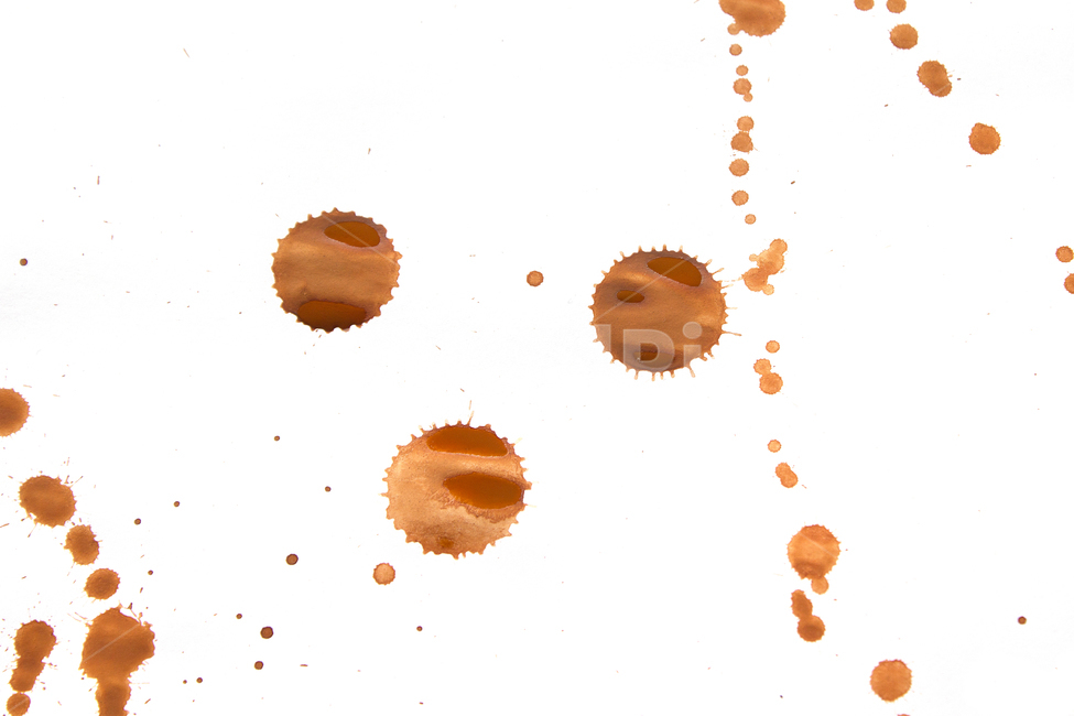 물감,뿌리기,종이,흰배경,페인팅,페인트,아트,예술,미술,그림,드로잉,핸드드로잉,뿌려진,튀기기,붓터치,커피자국,커피,갈색,브라운,자국,떨어뜨린,예술,art,연출,컨셉,콘셉,direction,concept