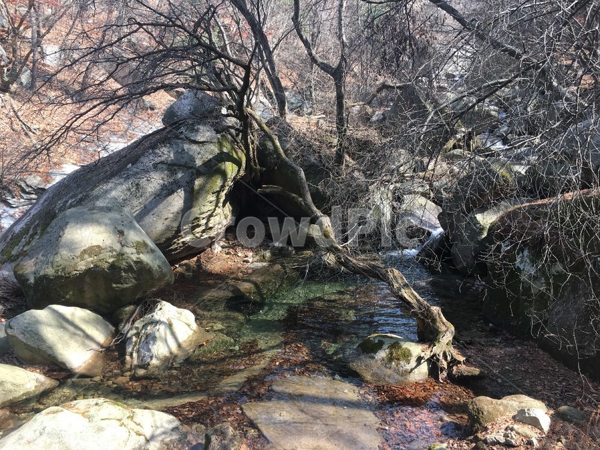 계곡,물,자연,돌,나무,풍경,북한산