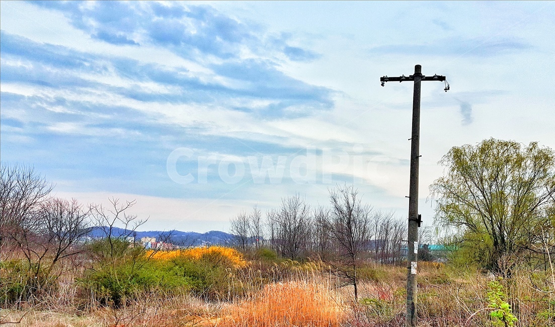 전봇대,노을,구름,하늘,석양,저녁,풍경,landscape,경치,산,시골,자연,nature,나무,붉은노을,붉은색,전신주,그림자,silhouette