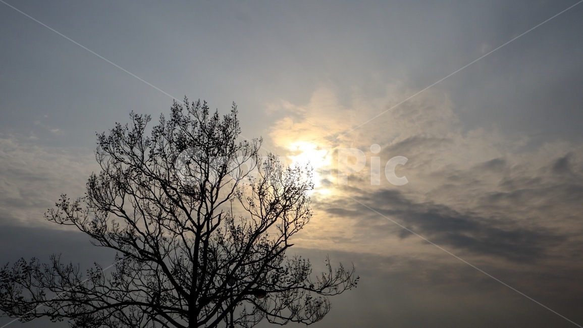 풍경,하늘,나무,구름,햇빛,노을,자연,따스함,배경,cloud,tree,자연,풍경,nature,landscape,light,빛,flare,플레어,outdoors,옥외