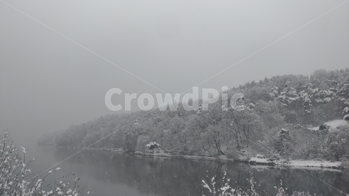 겨울,눈,눈보라,나무,호수,눈꽃,안개,nature,자연,outdoors,옥외,겨울,계절,winter,season,자연,풍경,nature,landscape