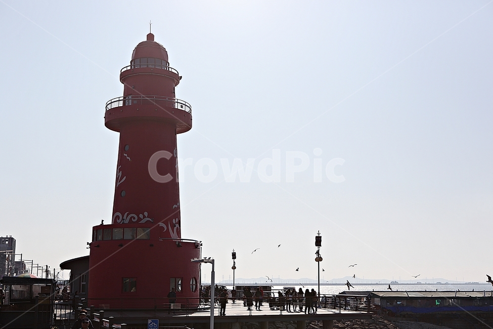 sky,ocean,nature,red lighthouse,bird,sight,Birds,Lighthouse,Seagull,Oido Lighthouse