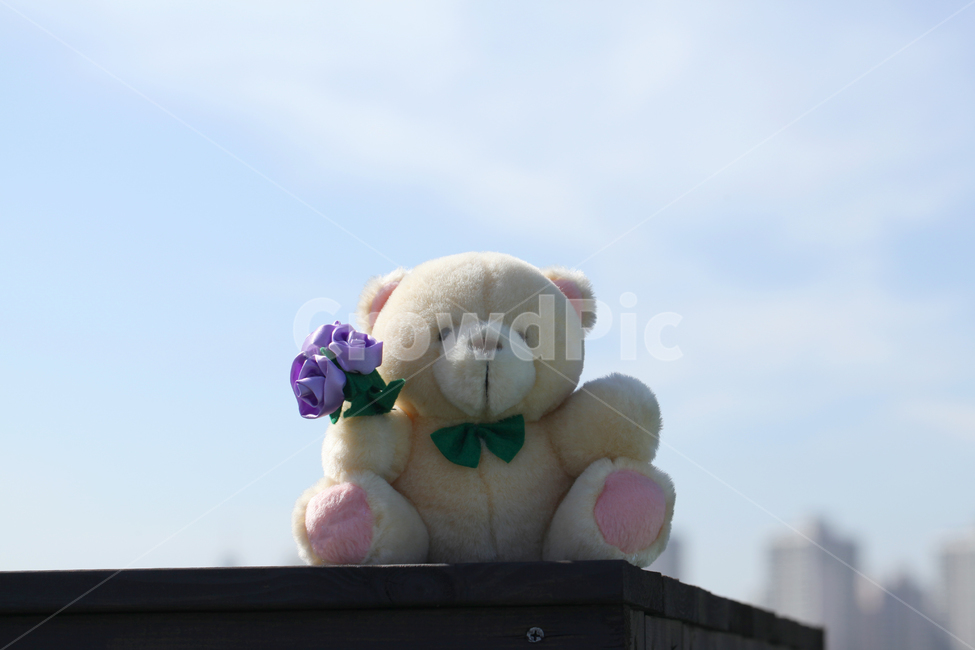 곰,인형,곰인형,베어,곰돌이,장난감,꽃,하늘,감성,사물,물건,오브젝트,thing,object,matter