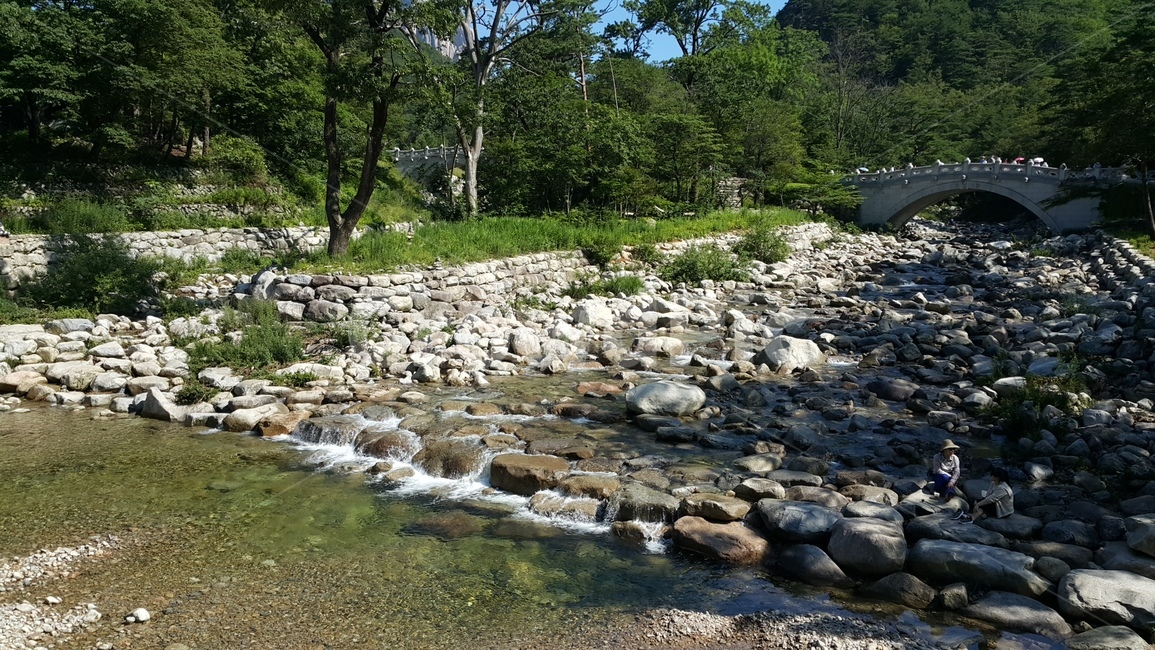계곡,물가,여름,평화로운,자연,풍경,휴식,자연,풍경,nature,landscape,water,물,stream,흐름,outdoors,옥외,creek,작은 만