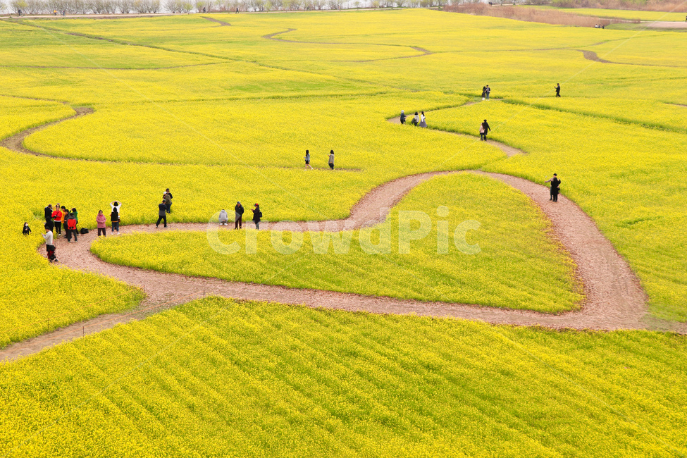 nature,자연,축제,하트,사랑