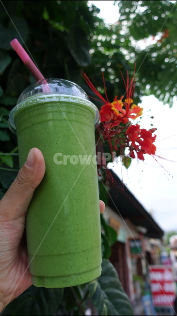 cafe,카페,초콜렛,초콜릿,chocolate,beverage,음료,drink,smoothie,green,초록,연두,그린,꽃,스무디