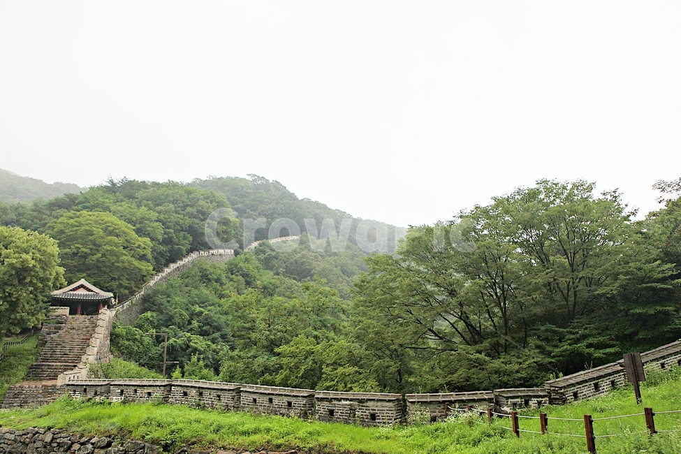 남한산성,성,성곽,길,둘레길,벽,숲,숲길,담,돌담,여름,풍경