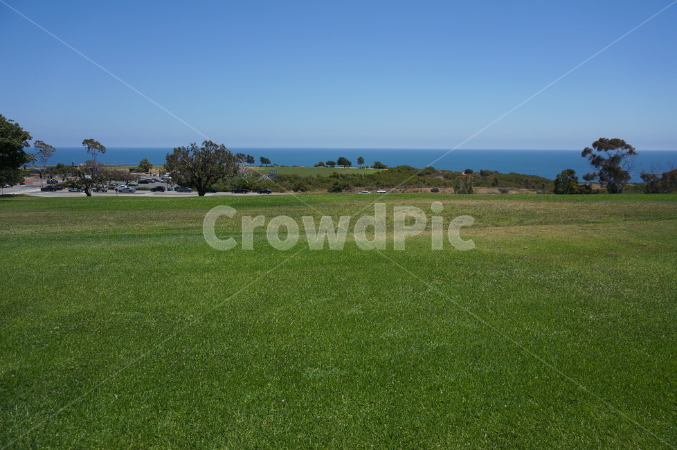 grass,잔디,식물,plant,field,들