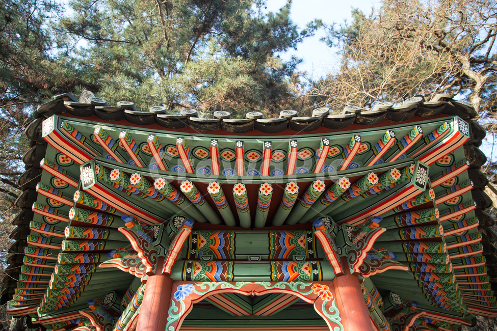 정자,나무,건축물,건물,신전