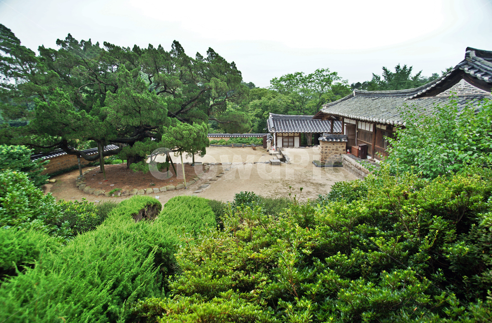 서백당,양동마을,경주,유네스코세계문화유산,집성촌,양반마을,전통가옥,월성손씨,여강이씨,시골,마을,풍경,landscape,country,rural,town,한국전통,한국문화,korean traditional,korean culture